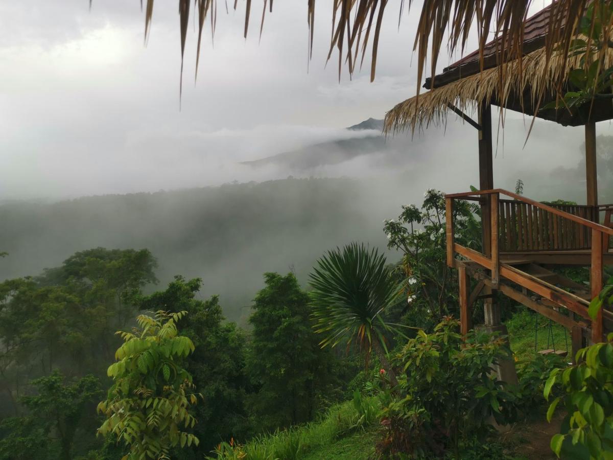 Dragonfly Senaru Lodge Стая снимка